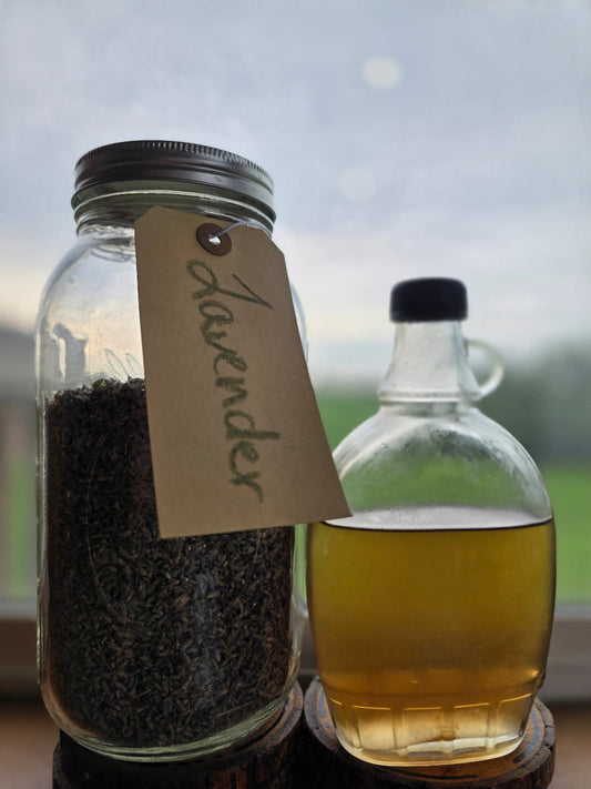 Homemade Lavender Syrup