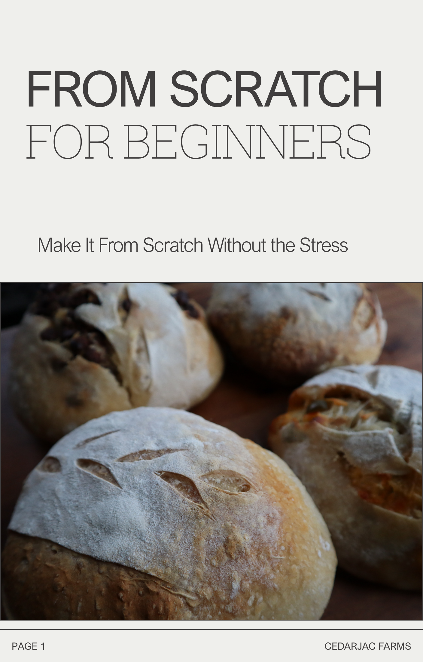 From Scratch for Beginners - The Starter Guide to Making Real Food at Home
