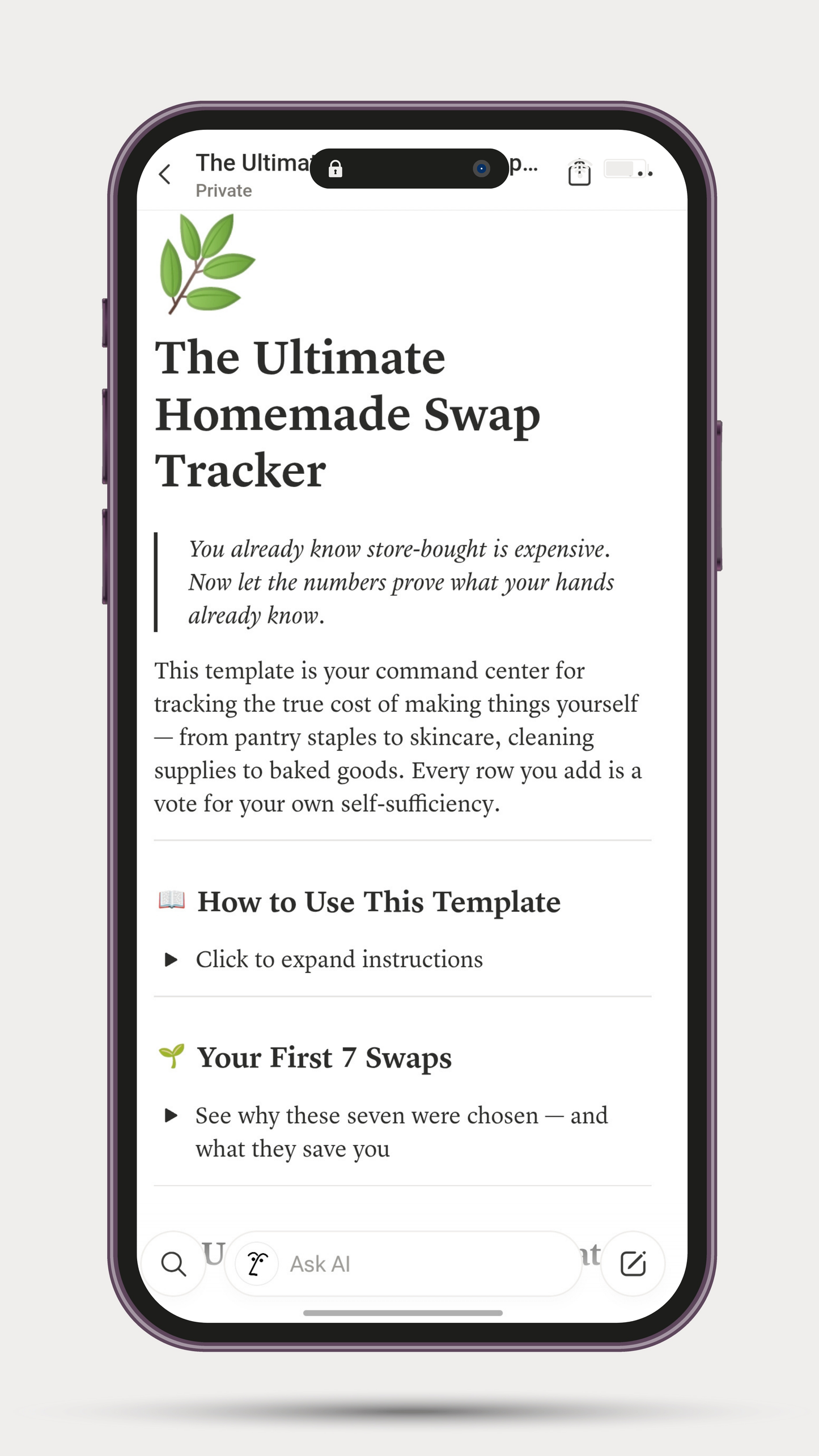 The Ultimate Homemade Swap Tracker (Notion Template)